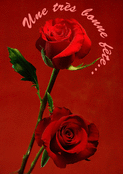 Roses &eacute;clatantes pour une f&ecirc;te joyeuse